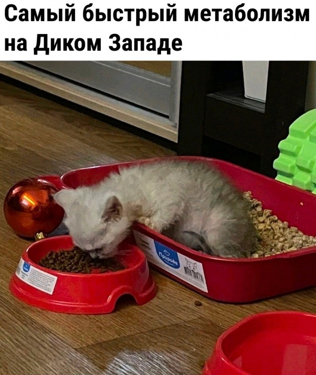 Так себе картинки 10.05.22