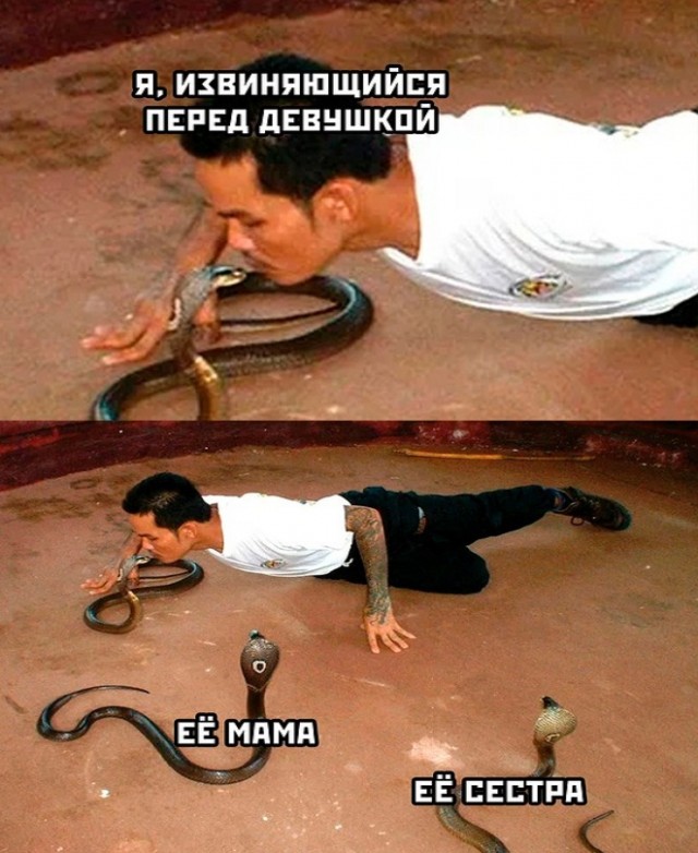 Картинки и мемы - "Жить, как говорится, хорошо..."
