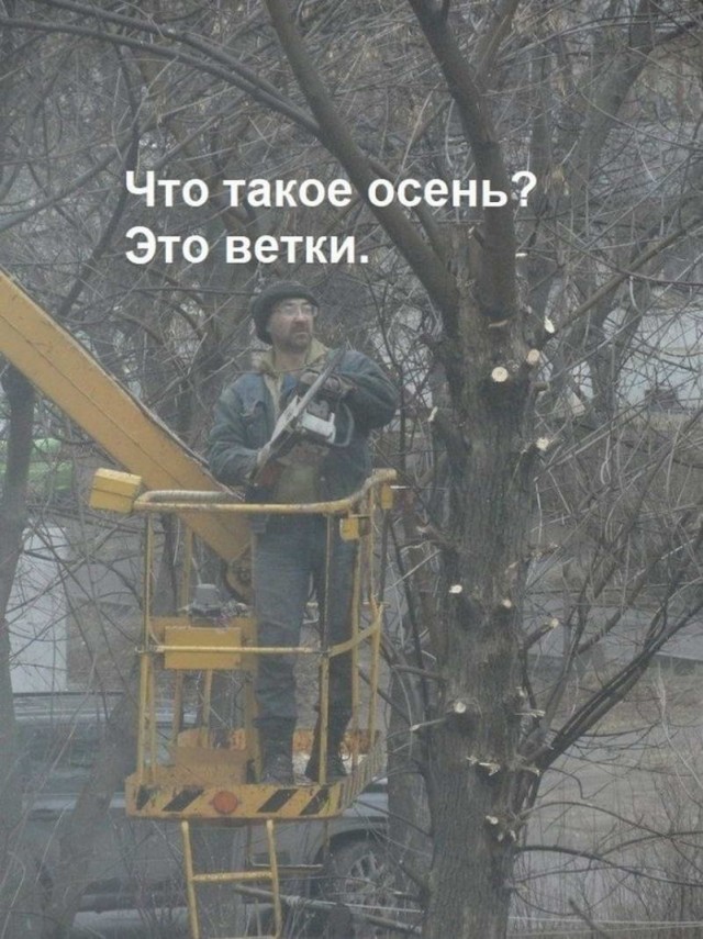 Картинки и мемы. Выходные близко...