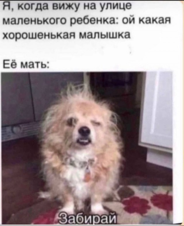 Весёлый полтишок 12.10.22