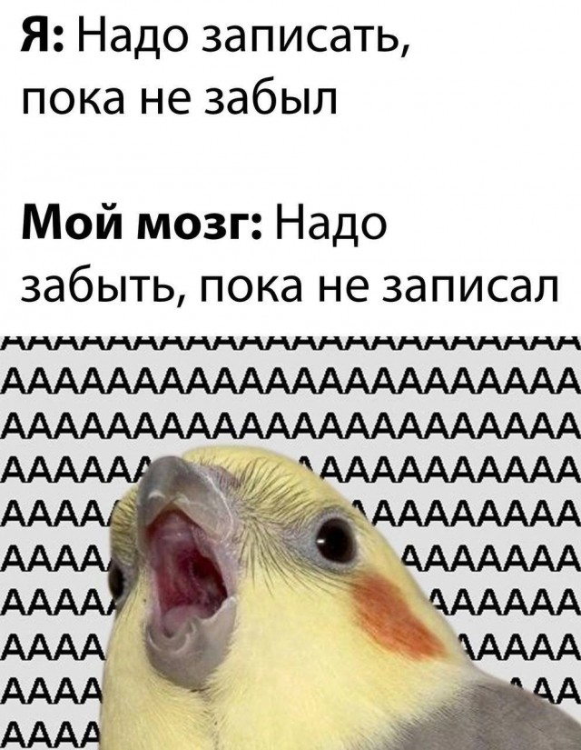 25 воскресных картинок