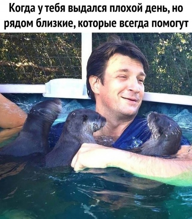 Немного картинок для настроения/постпраздничное