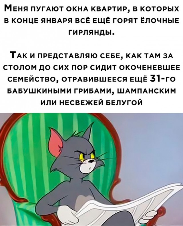 Весёлый полтишок 31.01.23