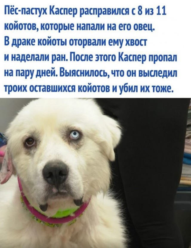 Картинки и мемы, всем хороших выходных