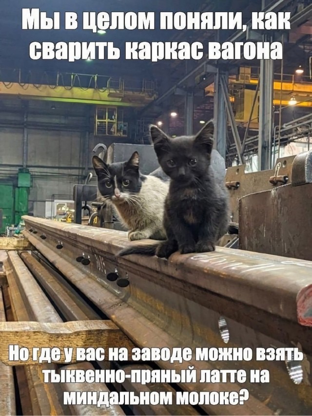 Мама и дочка (бенгалы)