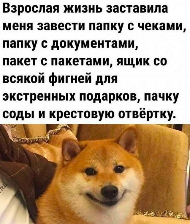 Картинки и мемы, всем хороших выходных