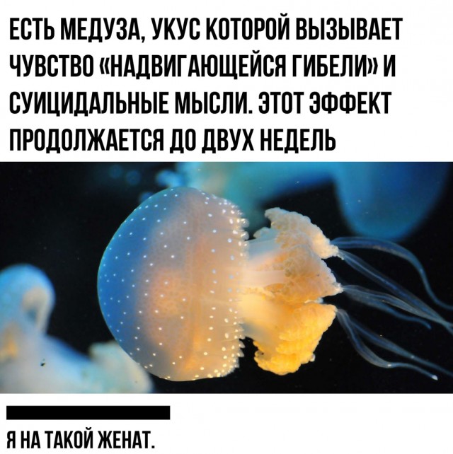 Счастливый брак