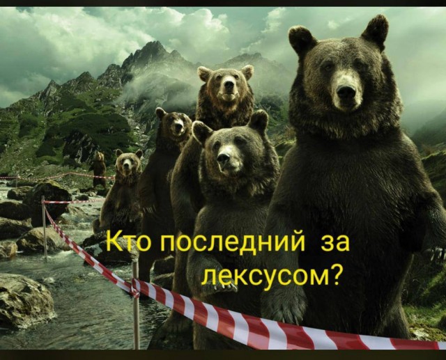 Сбили медведя