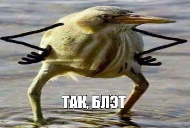 Дичь в Новокузнецке