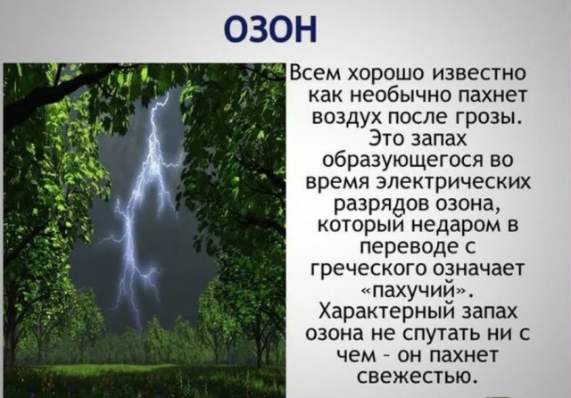Немного статического электричества