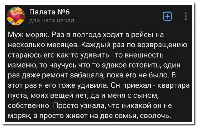 Забавные комментарии из социальных сетей (15.01.24)