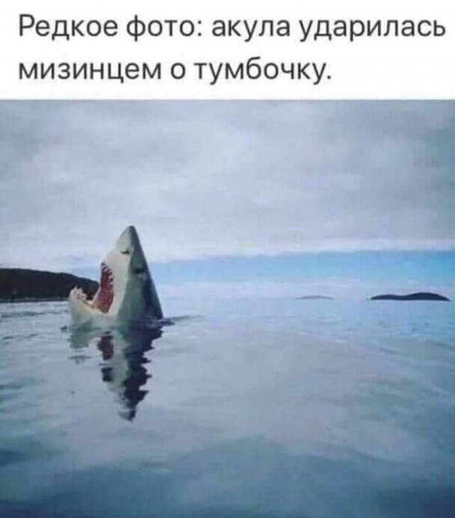 Юмор в картинках и без