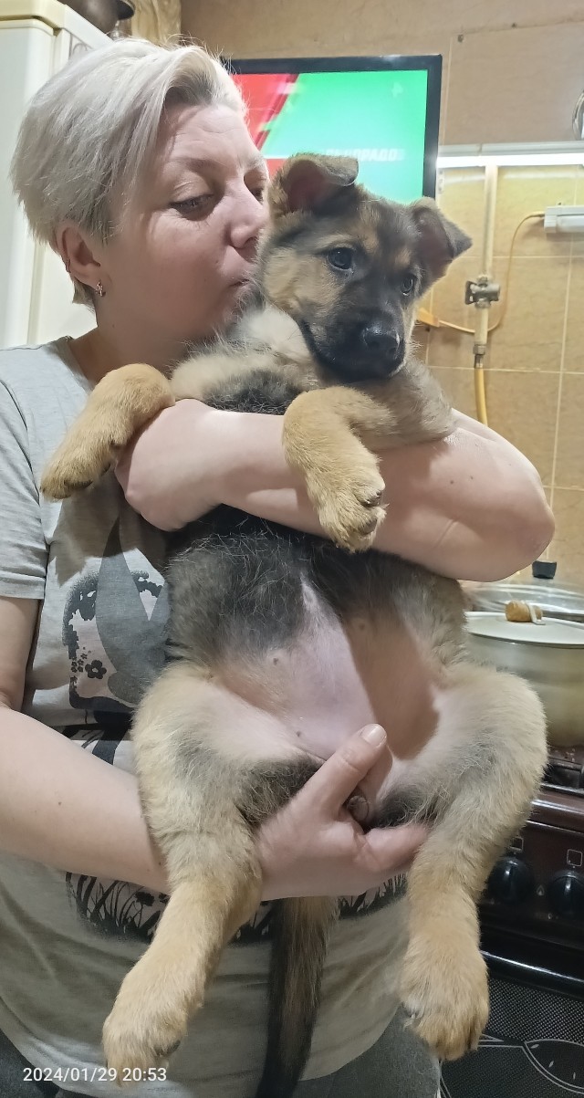 Эх, собакочетверг же