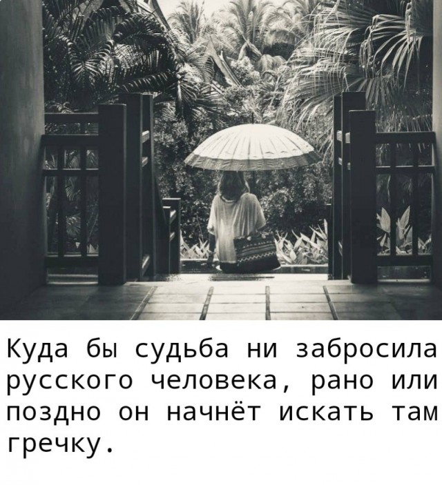 Почему в США и Европе не едят гречку? История замкнутого круга и англичанки в Сибири