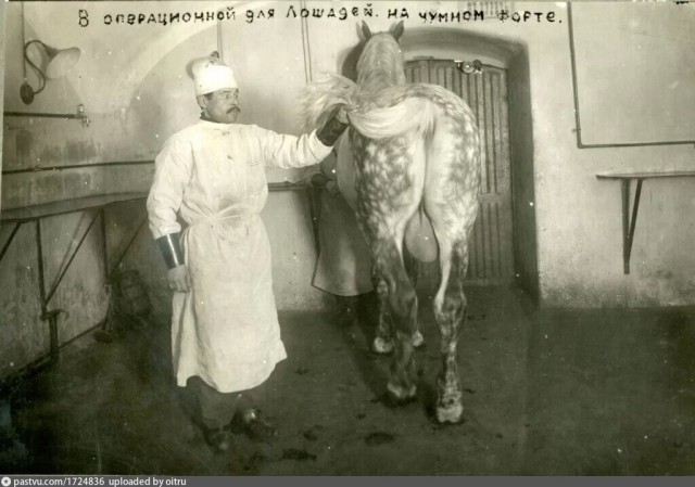 Прогулка по Санкт-Петербургу 1905 года