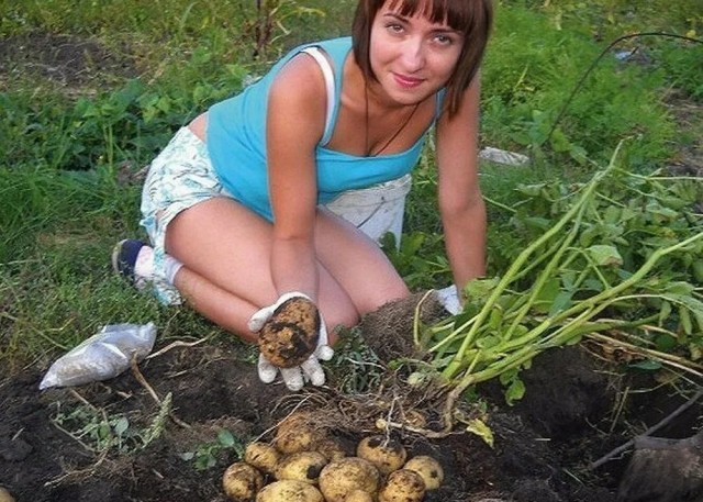 Вот будет лето — Поедем на дачу!