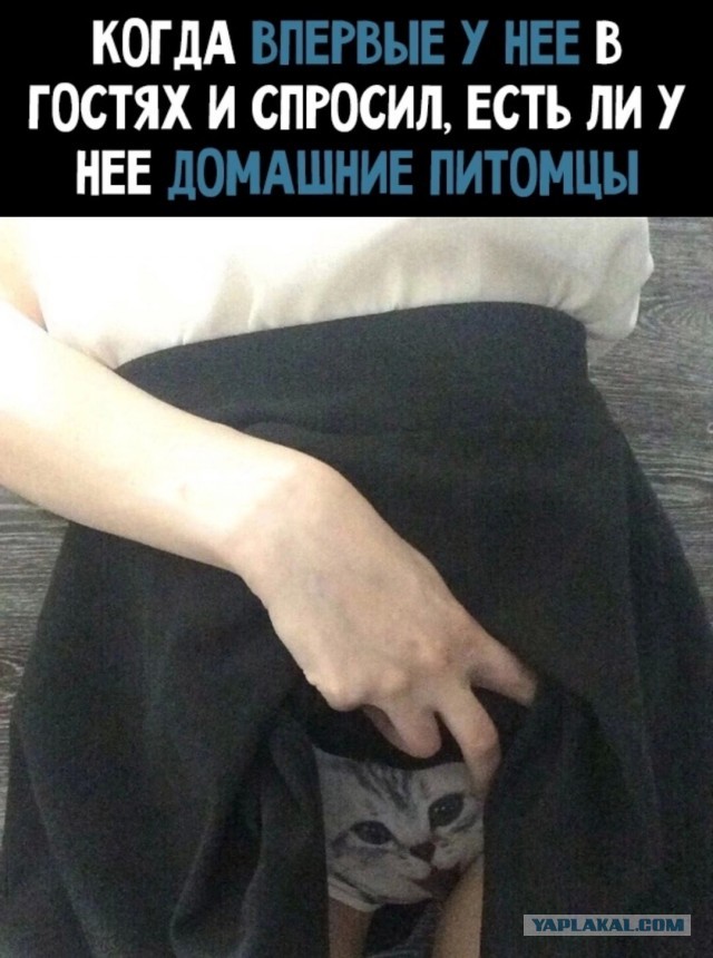 Завалялось тут случайно немного забавных картинок