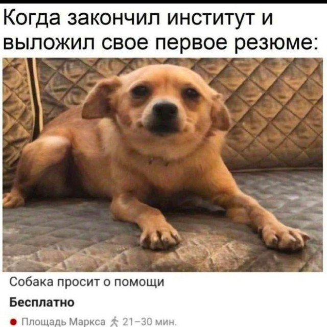 Веселые картинки в маленькую пятницу (19.02)