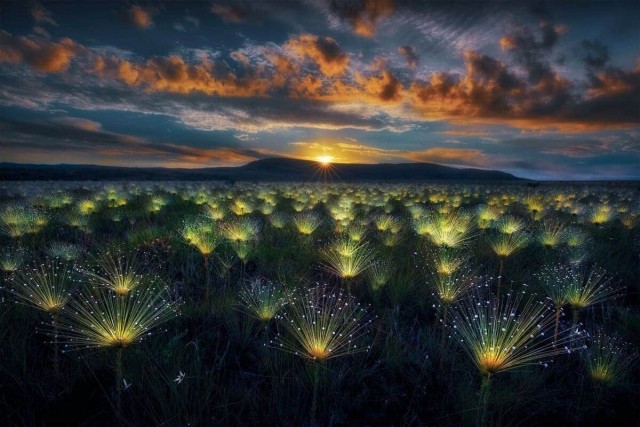 Объявлены победители конкурса World Nature Photography Awards 2025