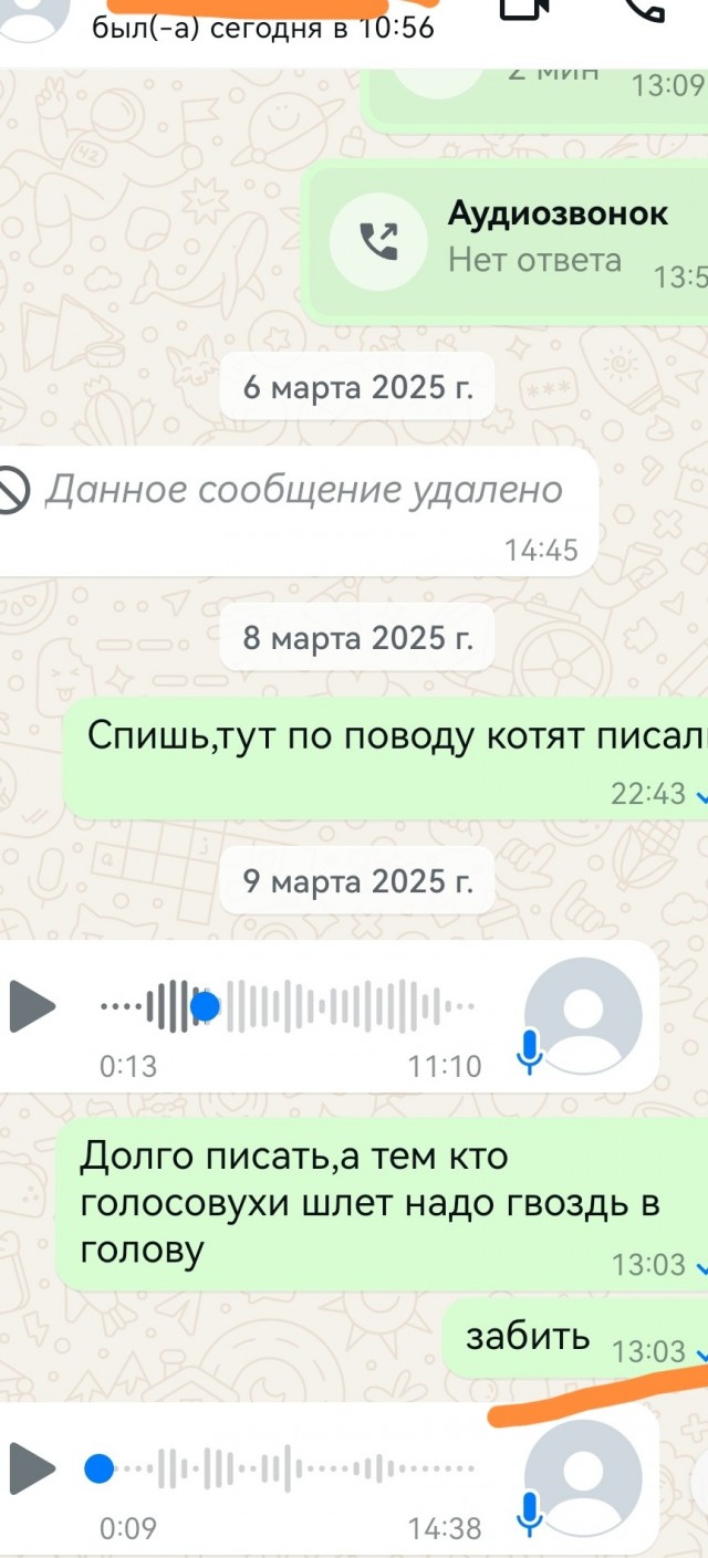 Аудиосообщения: Когда лень печатать, но не лень мучить окружающих