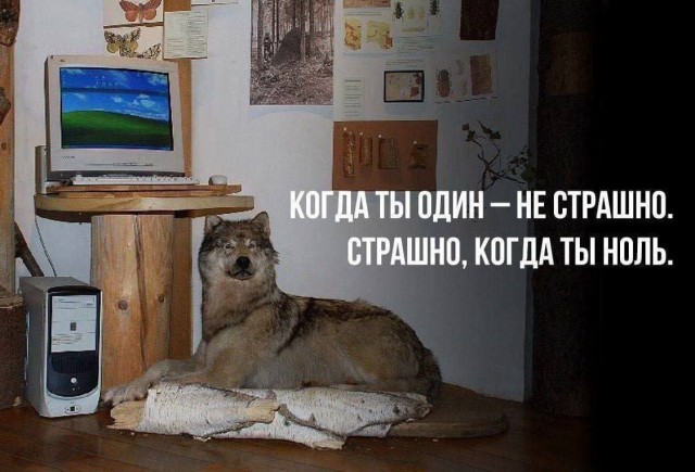 Весёлый полтишок 16.04 25.