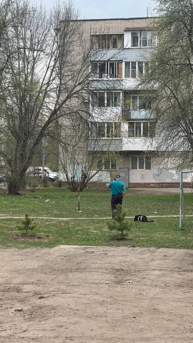 В Ярославле любящий хозяин дарит вторую жизнь парализованному псу