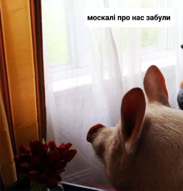 Мемы вокруг Ирано-Израильского конфликта