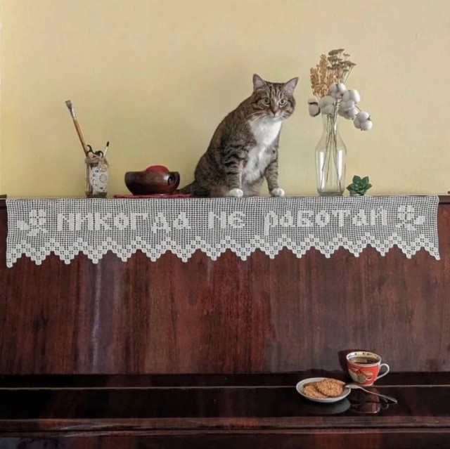 Так себе картинки 26.06.25