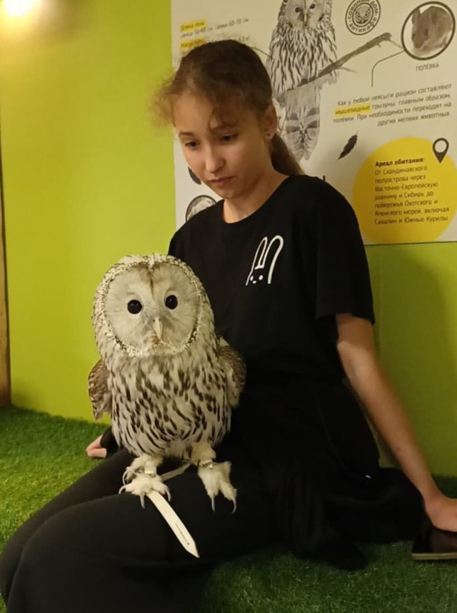 Угрозы, шантаж и насилие