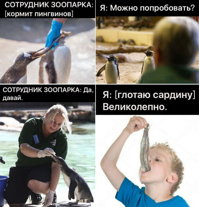 Немного картинок 31.07.25
