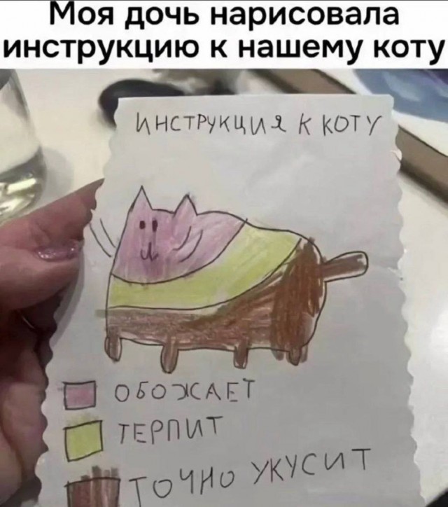 Субботние картинки