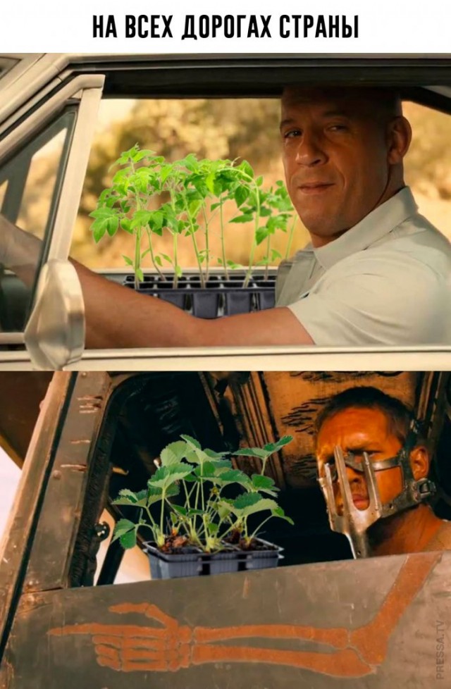 Веселые картинки в маленькую пятницу (25.02)