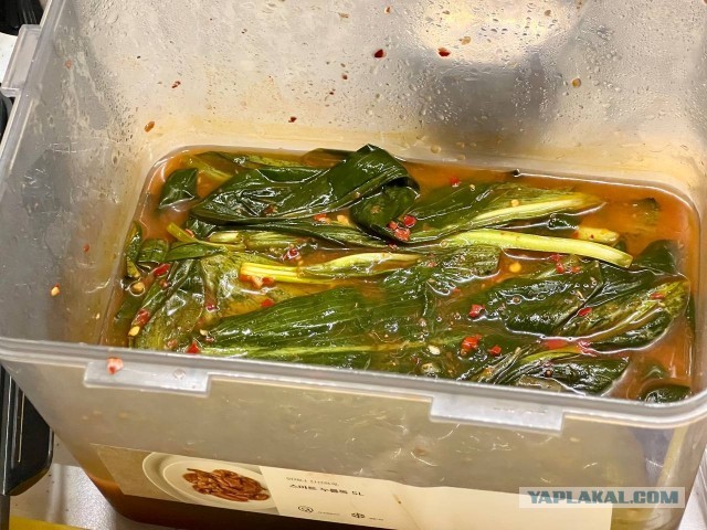 Кимчи из черемши!