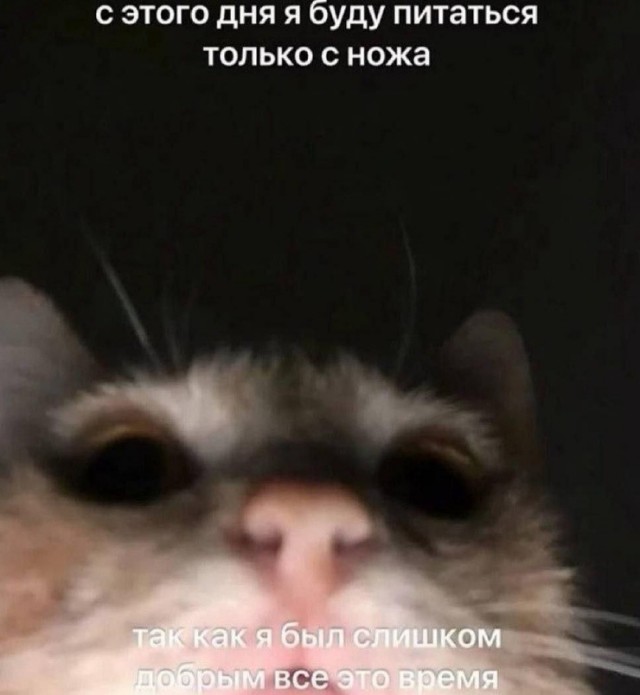 Так себе картинки 17.06.26