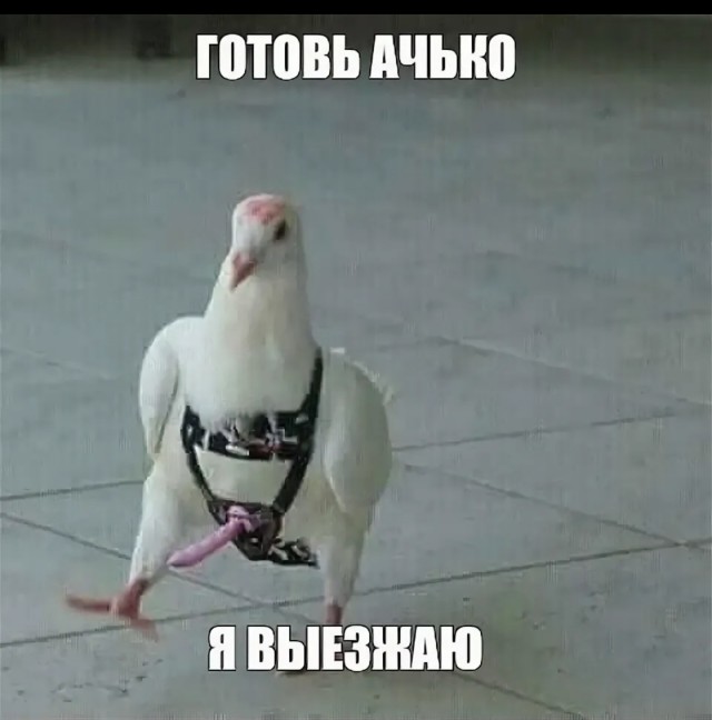 GTA VI за первые сутки принесла Take-Two $3 000 000 000