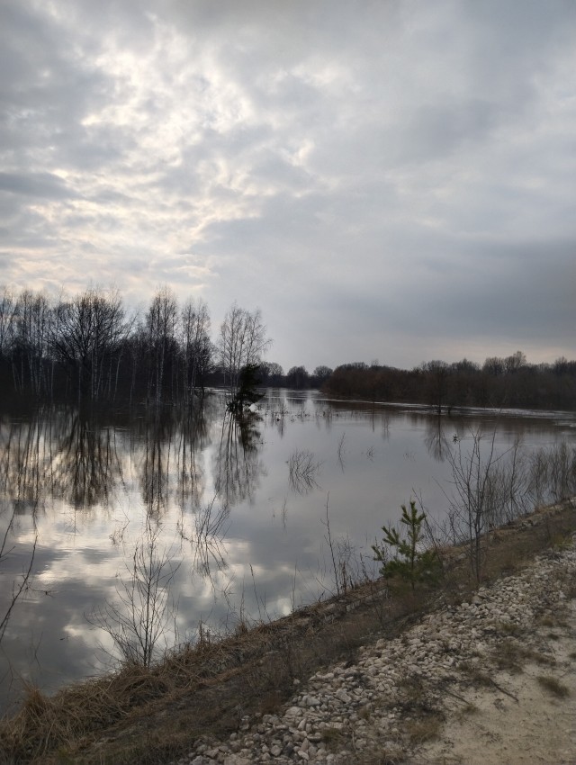 Когда и РСП, и 65 лет, но на этот раз ЯПовец не устоит
