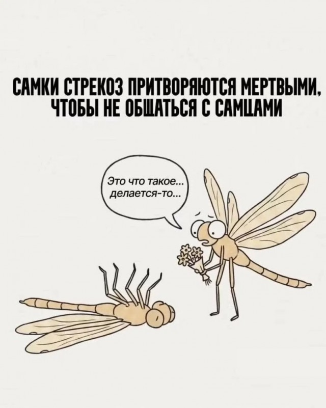 Картинки для деградации 299 (разной степени свежести)