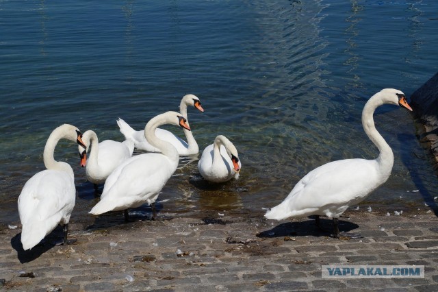 Поездка в Швейцарию