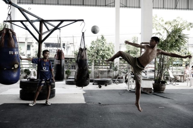 Тайские боксеры с малых лет
