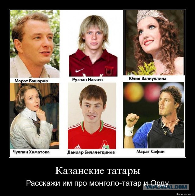 Беспорядки в Бирюлево, ещё одно мнение в
