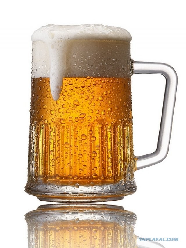 Ученые развеяли один из главных мифов о пиве