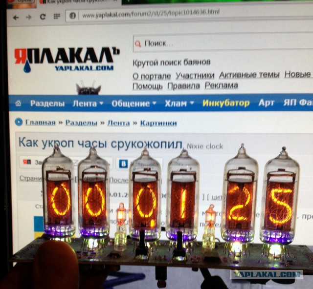 Как укроп часы срукожопил