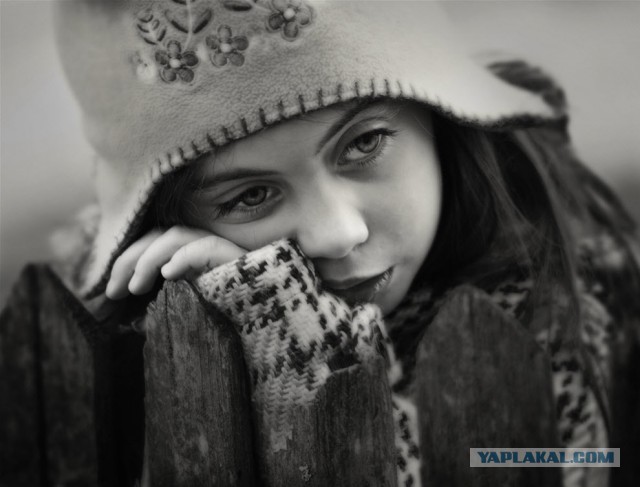 27 фотографий
