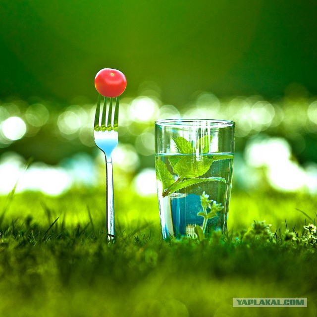 Славной Юкки пост.
