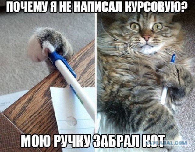 Подборка прикольных фото из сети