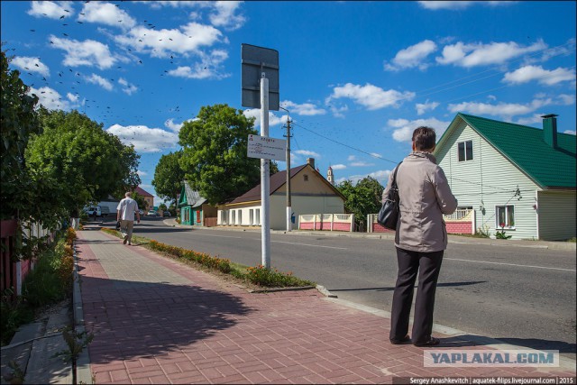 Как выглядит город, в котором мэр - не ворюга