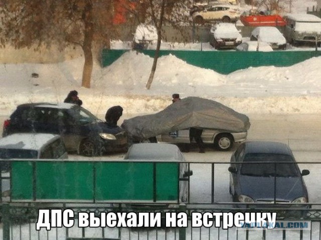 Веселые картинки