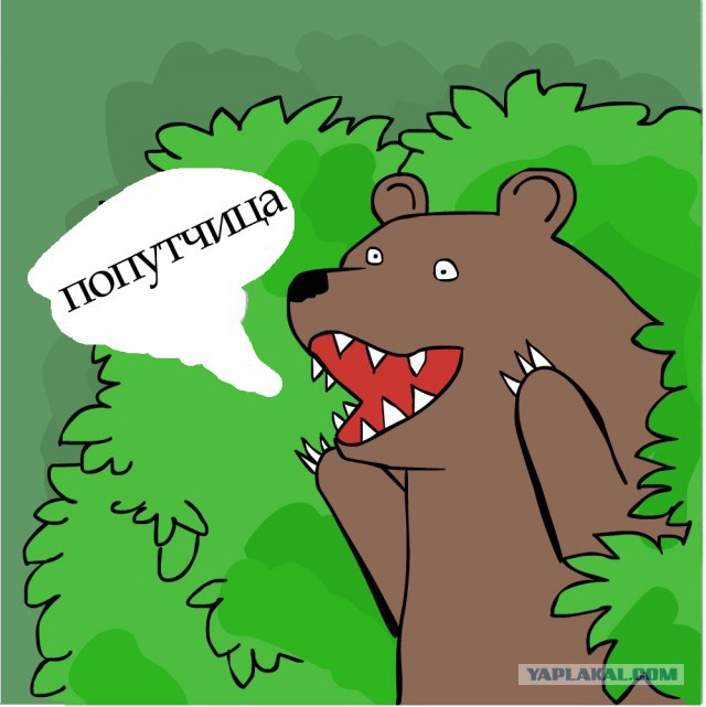 Как меня в электричке поимели
