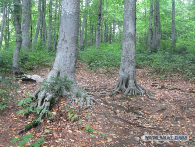 Через горы к морю (Кавказ)