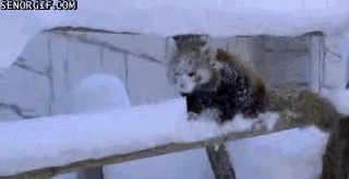 Ой, напилася я пьяною!